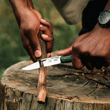 Carbon Steel Knives vs Stainless Steel Knives