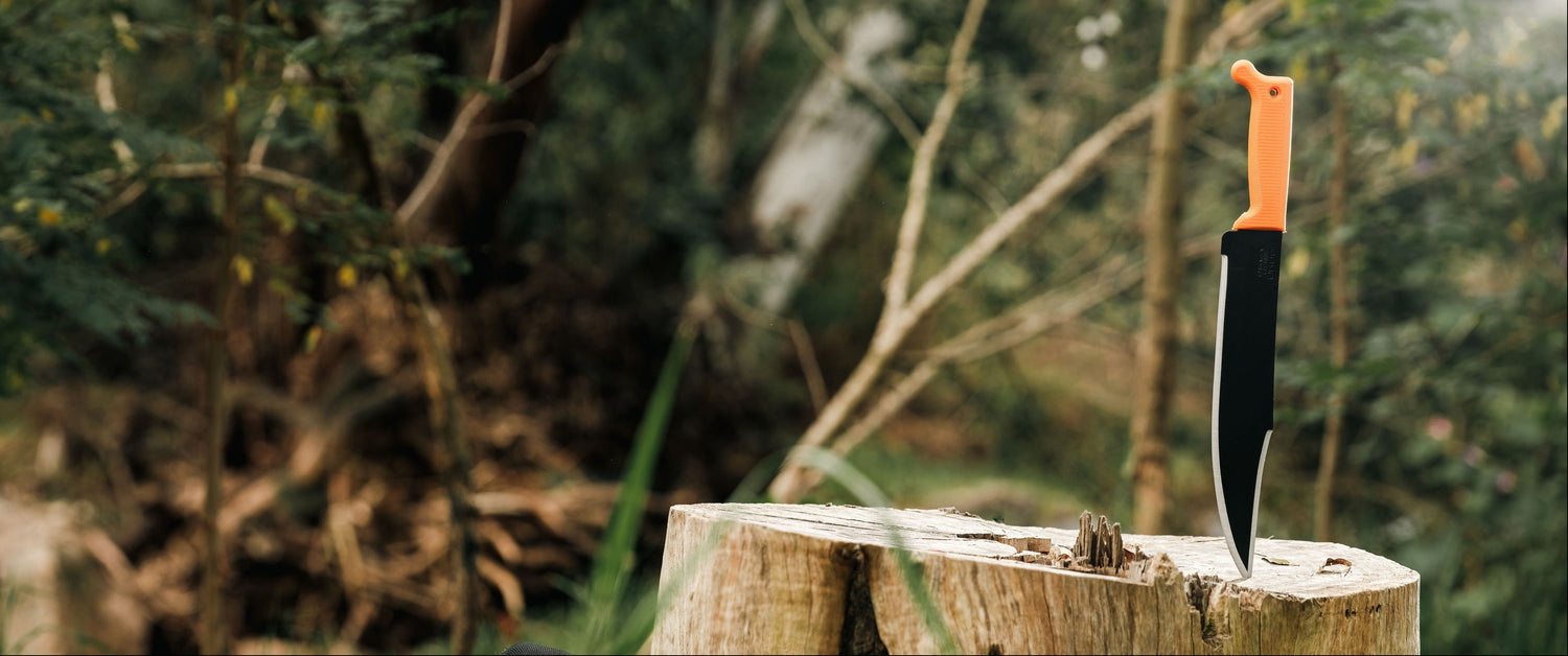 A knife with a bright orange handle and black blade is stuck into a tree stump in an outdoor forest setting.