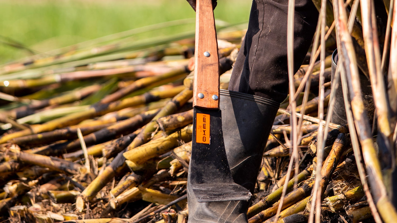 Okapi sugar cane knife header image